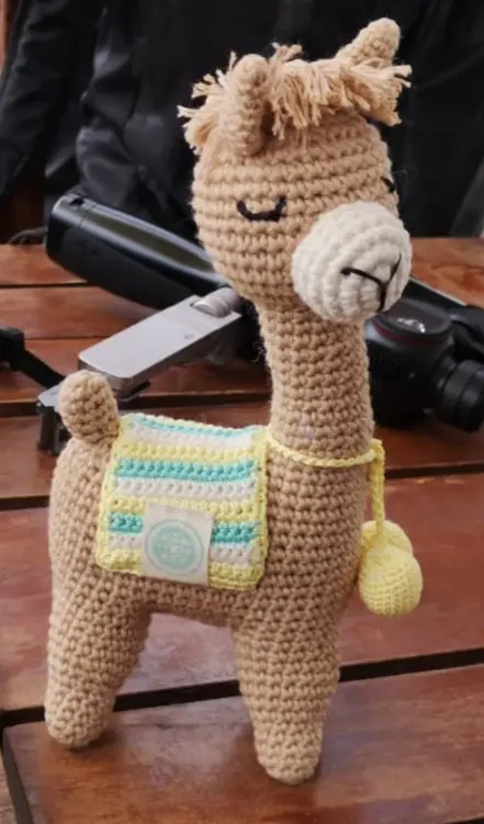 Wawa alpaca